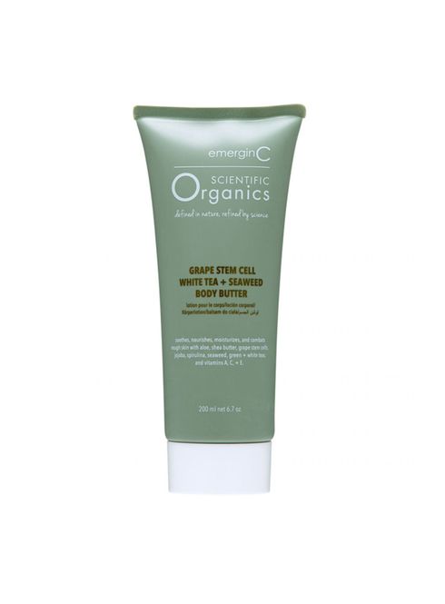 Hovedbilde grape stem cell, white tea + seaweed body butter ...
