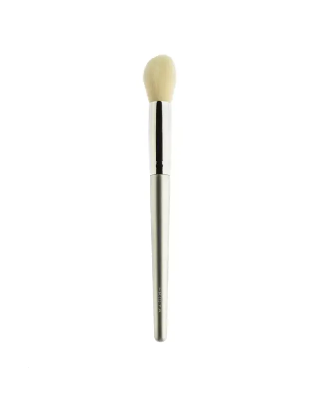 Face Brush